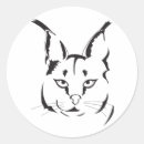 Search for caracal stickers Animal