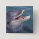 Search for bottlenose dolphin badges Animal