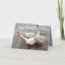 Search for white frost cards Ice