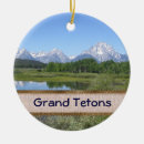 Search for scenic christmas tree decorations Souvenir