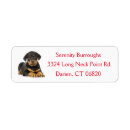 Search for rottweiler puppy return address labels Dog