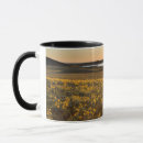 Search for lewis and clark mugs Arrowleaf balsamroot