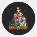 Search for dog star stickers Snow