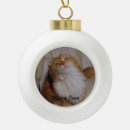 Search for pet supplies Cute