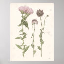 Search for botanical decor posters Blooms