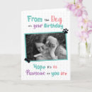 Search for fur baby mother cards Pet