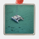 Search for fiji christmas tree decorations Clear