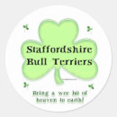 Search for staffie stickers Staffordshire bull terrier