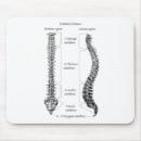 Search for spine electronics Skeleton