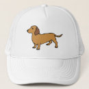 Search for sausage hats Wiener dog