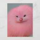Search for critter postcards Animal