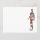 Search for musculoskeletal posters People
