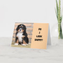 Search for funny co worker seasonal cards Friend