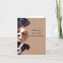 Search for peek cards Puppy