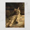 Search for thought image postcards Nature