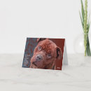 Search for pitbulls cards Bully breed