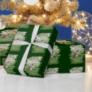 Search for chipmunk wrapping paper Wildlife