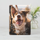 Search for furry and bright christmas cards Cute