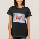 Search for arabian horse clothing Stallion