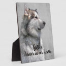 Search for tribute pet memorials Sympathy