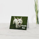Search for dog thank you cards Puppies