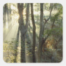 Search for world heritage site stickers Tree