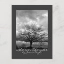 Search for black rain postcards Photography