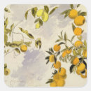 Search for lear stickers 1812 88