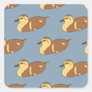 Search for wild duck stickers Nature