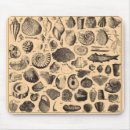 Search for fossil mousepads Nature