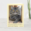 Search for humans not invited cards Rescue