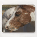 Search for horse mousepads Pets