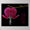 Search for fuchsia flower art Nature