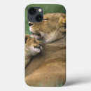 Search for lying cases Lion