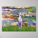 Search for whippet posters Pets