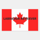 Search for retriever stickers Black labrador retriever