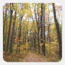 Search for golden leaves stickers Landscape