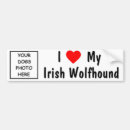 Search for wolfhound bumper stickers Dog