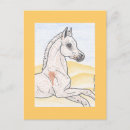 Search for filly postcards Foal