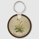 Search for old paper accessories Nature