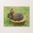 Search for easter bunny puzzles Cute