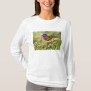 Search for migrate womens tshirts Wild