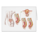 Search for benignity Benign tumours