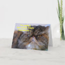 Search for funny resolution new years cards Resolutions