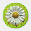Search for green daisy magnets Retro