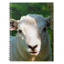 Search for cute sheep notebooks Lamb