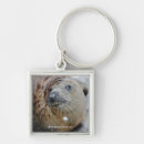 Search for seals key rings Wildlife