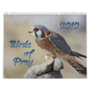 Search for birds of prey calendars Eagle