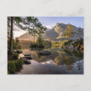 Search for sunlight postcards No people