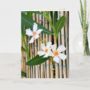 Search for vinca cards Flower